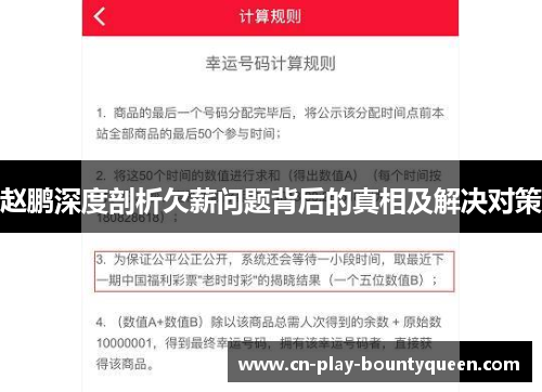 赵鹏深度剖析欠薪问题背后的真相及解决对策