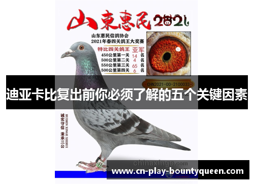 迪亚卡比复出前你必须了解的五个关键因素