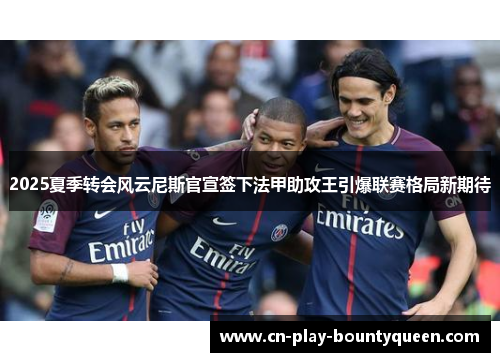 2025夏季转会风云尼斯官宣签下法甲助攻王引爆联赛格局新期待
